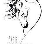 skala horse riding